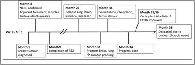 Case Report: Extensive Tumor Profiling in Primary Neuroendocrine Breast Cancer Cases as a Role Model for Personalized Treatment in Rare and Aggressive Cancer Types
